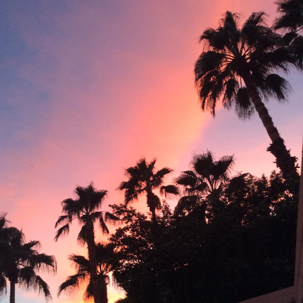 Meet your Posher, Bridget